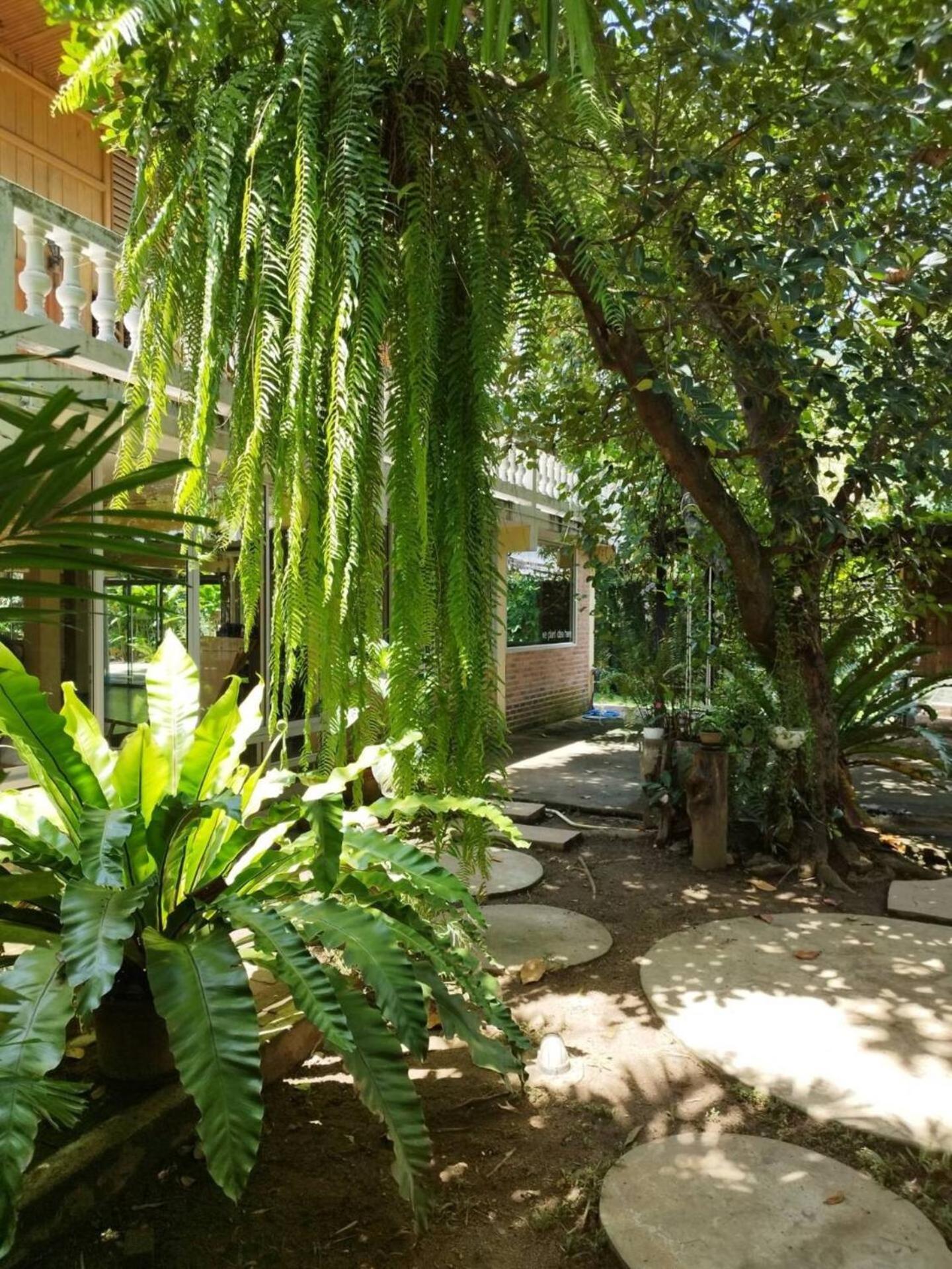Atelier 36 Hotel Chiang Mai Exterior foto